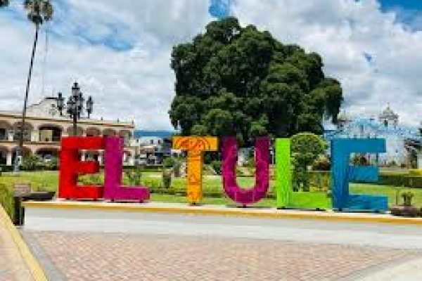 Visíta arbol del tule oaxaca con tours Mayahuel.4